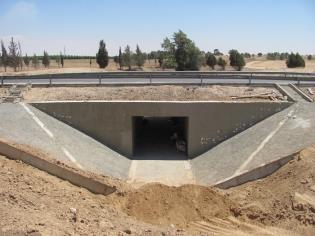 שיקום וחיזוק מעביר מים בכביש 242 - כיסופים